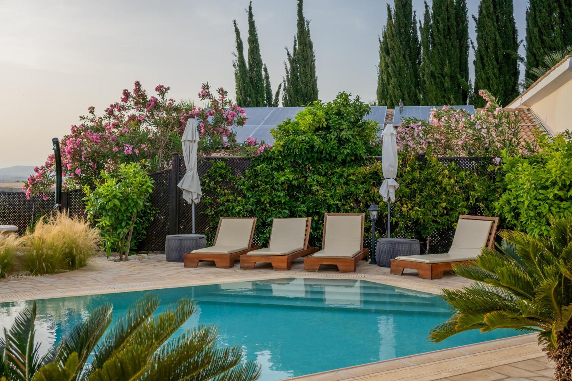 Villa Panorama - Stunning Views In Villa With Hot Tub, Pool, Garden Kouklia Exterior foto